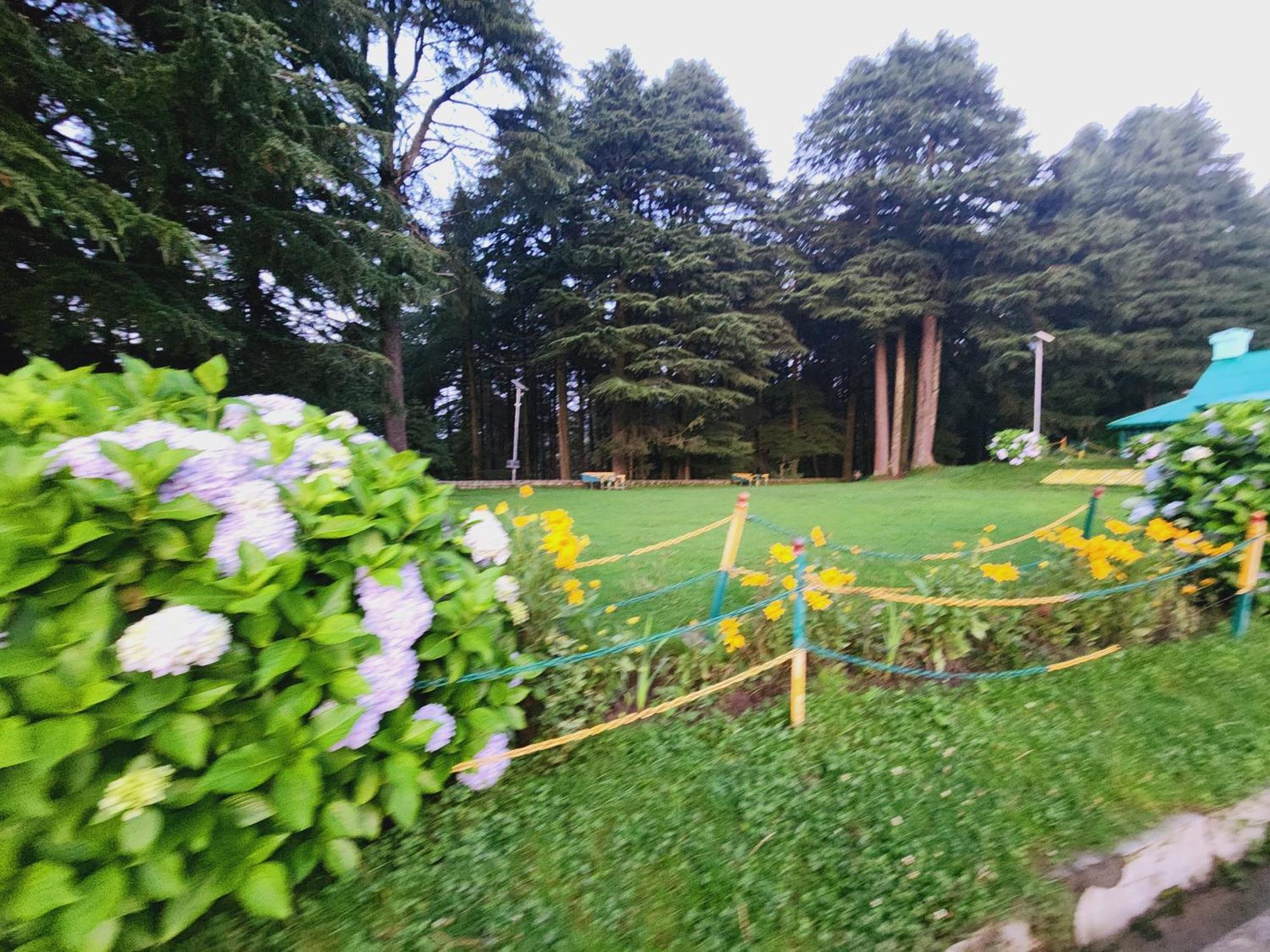 Smarthill Kalatop-Nature'S Heaven Hotel ดัลเฮาซี ภายนอก รูปภาพ