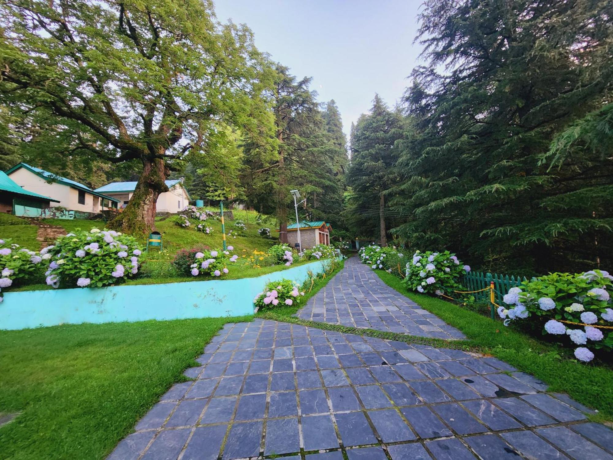 Smarthill Kalatop-Nature'S Heaven Hotel ดัลเฮาซี ภายนอก รูปภาพ