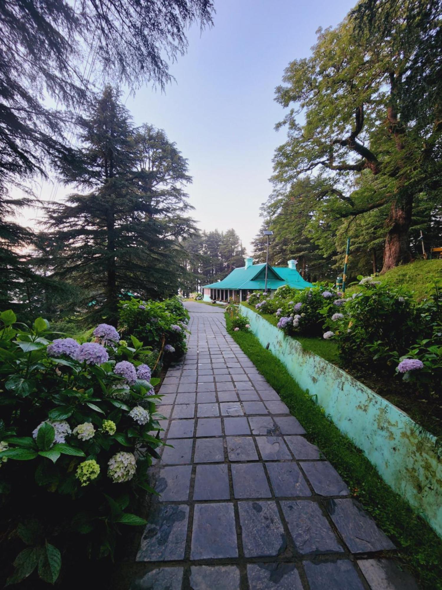Smarthill Kalatop-Nature'S Heaven Hotel ดัลเฮาซี ภายนอก รูปภาพ