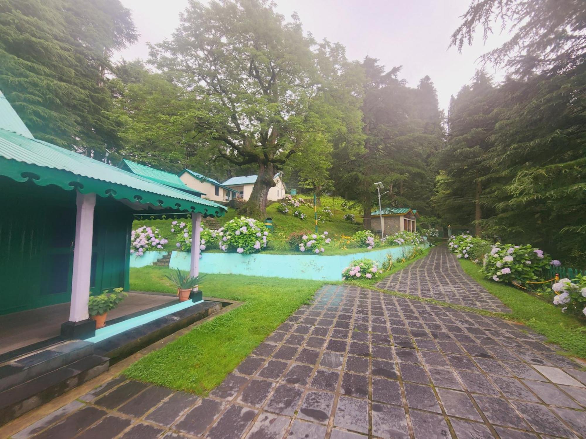 Smarthill Kalatop-Nature'S Heaven Hotel ดัลเฮาซี ภายนอก รูปภาพ