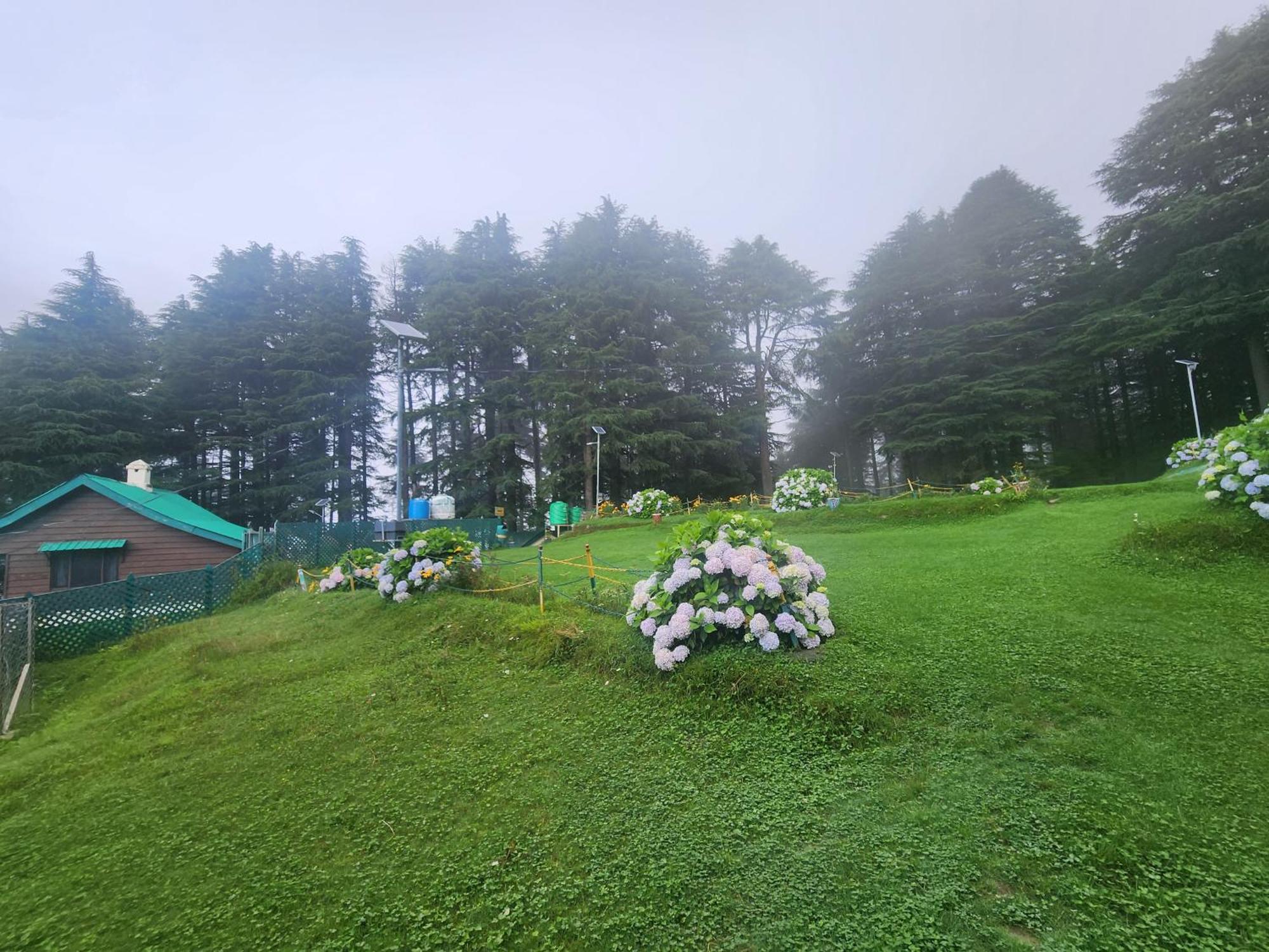 Smarthill Kalatop-Nature'S Heaven Hotel ดัลเฮาซี ภายนอก รูปภาพ