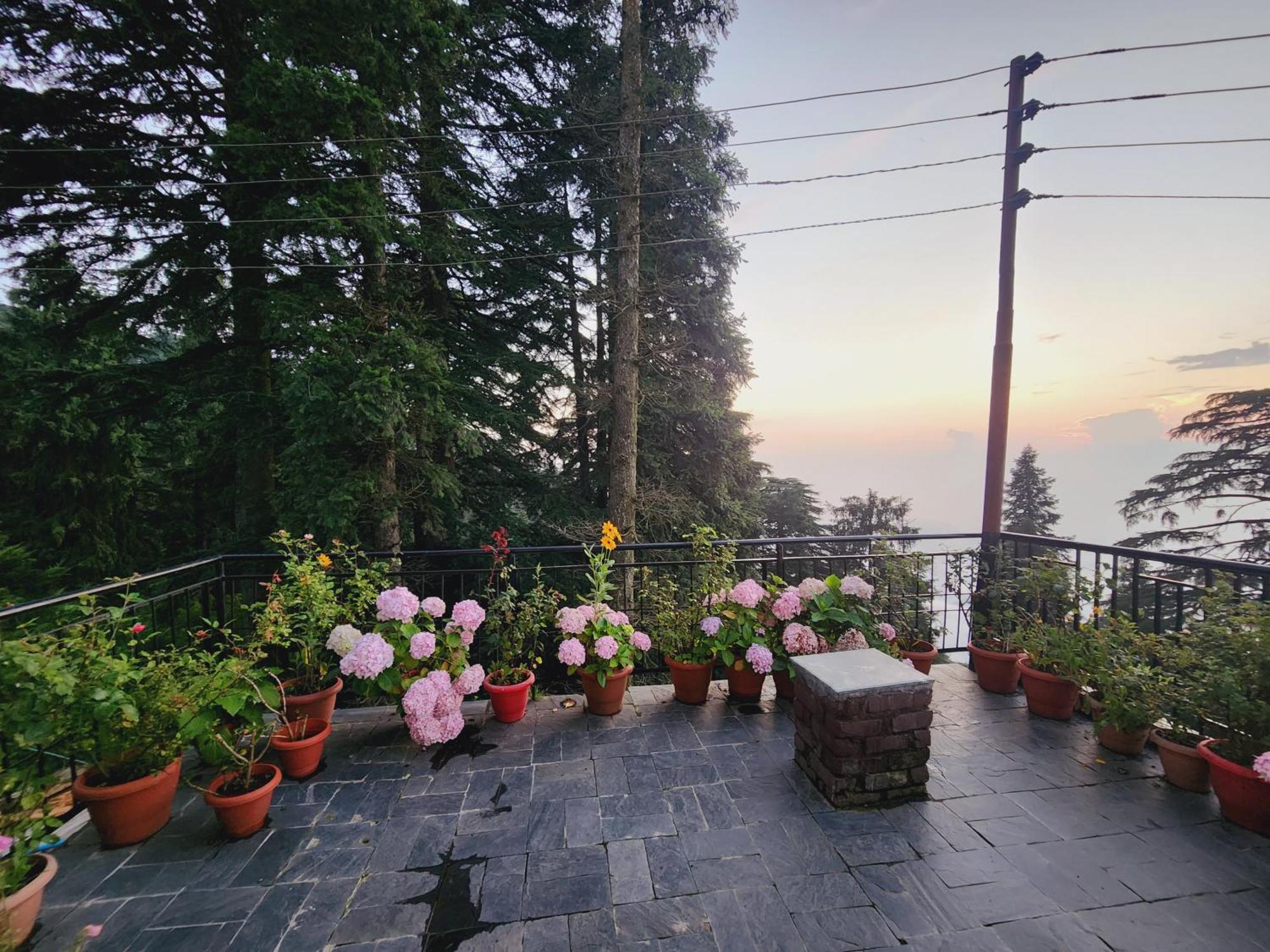 Smarthill Kalatop-Nature'S Heaven Hotel ดัลเฮาซี ภายนอก รูปภาพ