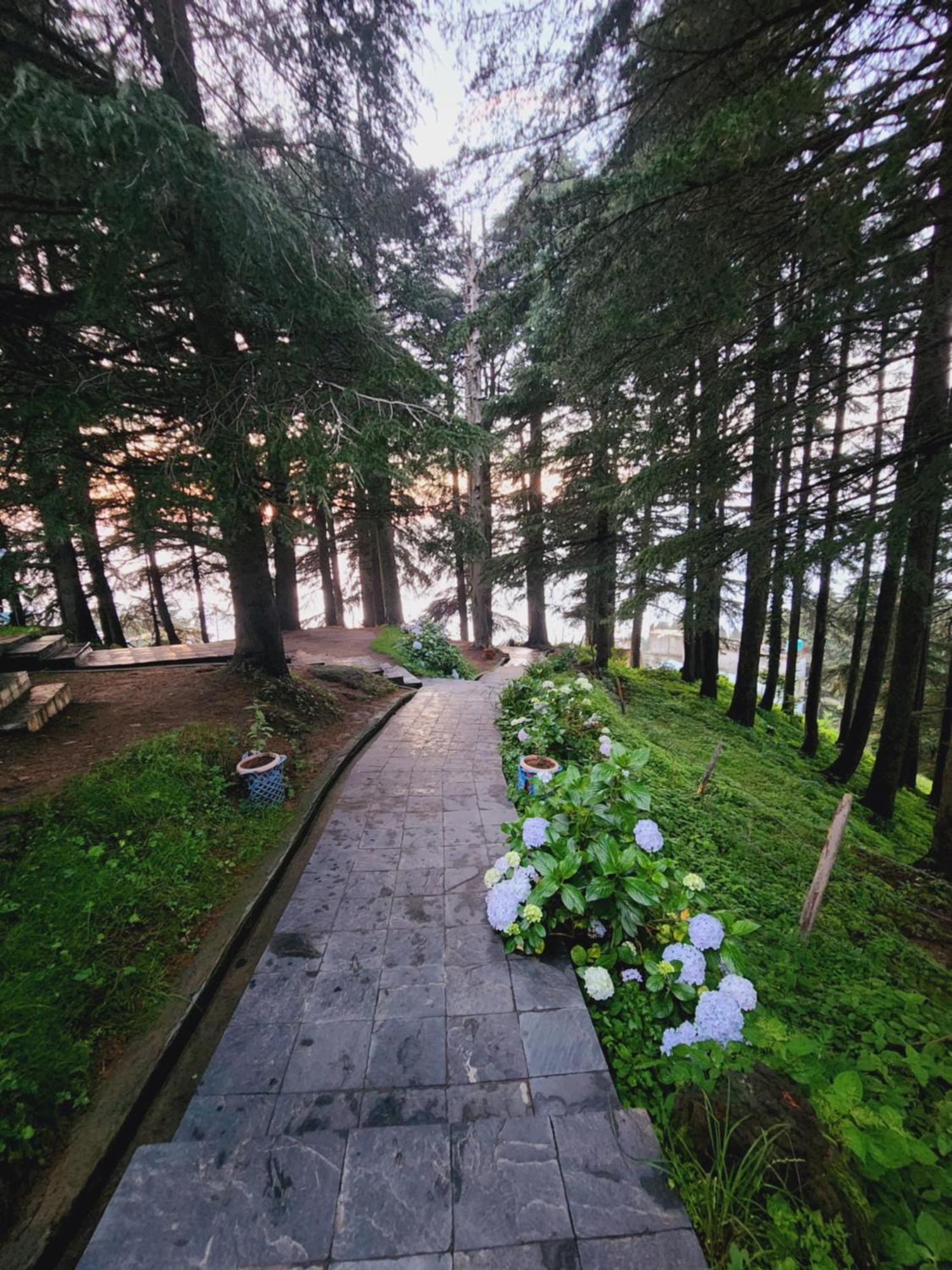 Smarthill Kalatop-Nature'S Heaven Hotel ดัลเฮาซี ภายนอก รูปภาพ