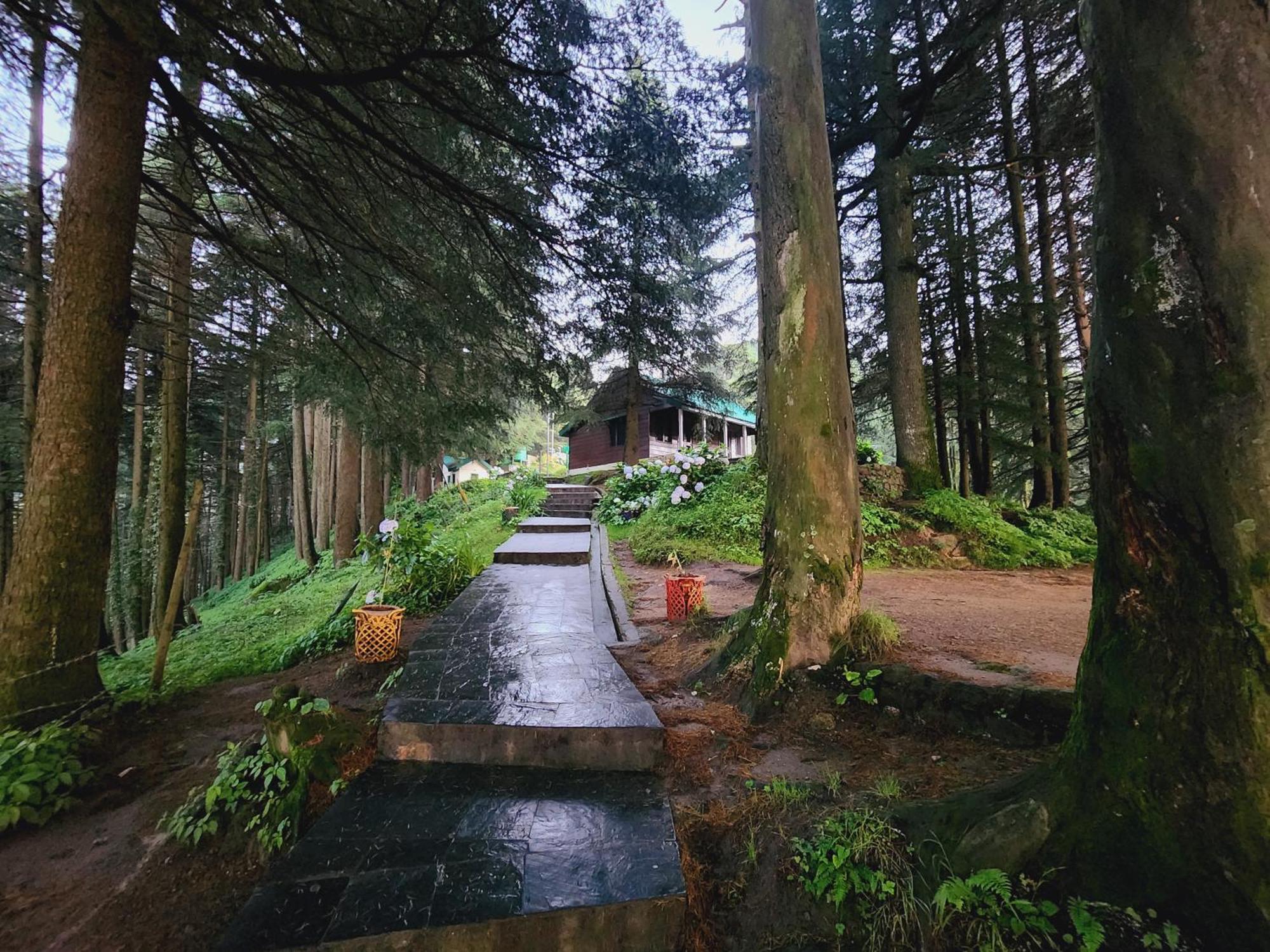 Smarthill Kalatop-Nature'S Heaven Hotel ดัลเฮาซี ภายนอก รูปภาพ